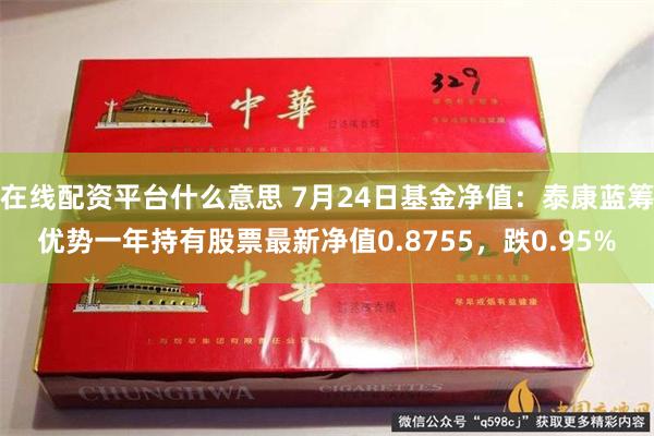 在线配资平台什么意思 7月24日基金净值：泰康蓝筹优势一年持有股票最新净值0.8755，跌0.95%