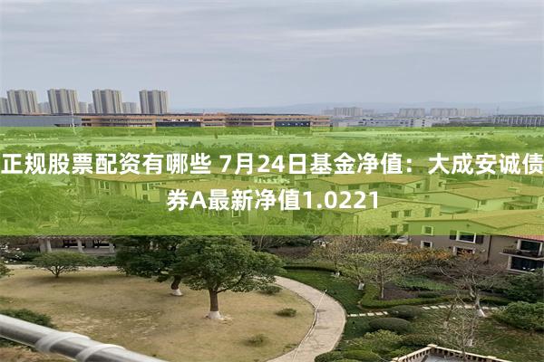 正规股票配资有哪些 7月24日基金净值：大成安诚债券A最新净值1.0221