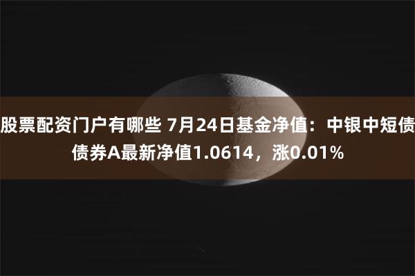 股票配资门户有哪些 7月24日基金净值：中银中短债债券A最新净值1.0614，涨0.01%