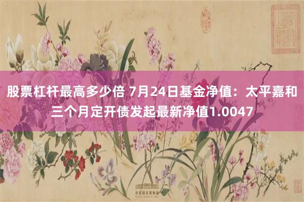 股票杠杆最高多少倍 7月24日基金净值：太平嘉和三个月定开债发起最新净值1.0047