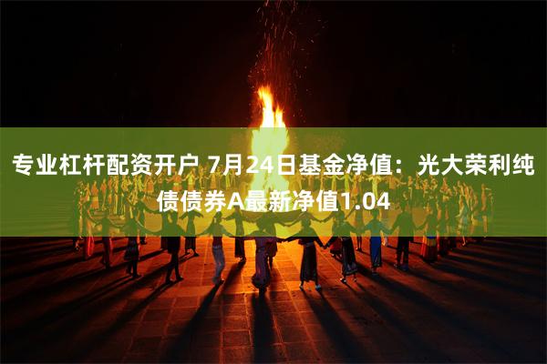 专业杠杆配资开户 7月24日基金净值：光大荣利纯债债券A最新净值1.04