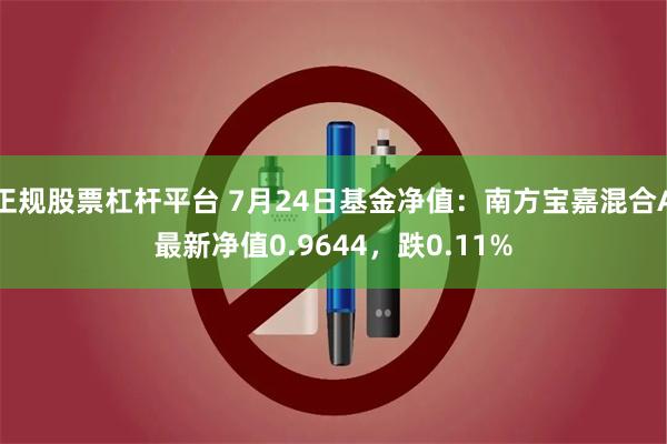 正规股票杠杆平台 7月24日基金净值：南方宝嘉混合A最新净值0.9644，跌0.11%