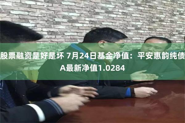 股票融资是好是坏 7月24日基金净值：平安惠韵纯债A最新净值1.0284