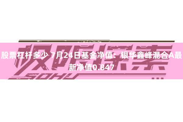 股票杠杆多少 7月24日基金净值：银华鑫峰混合A最新净值0.847