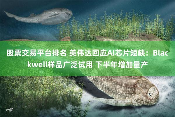 股票交易平台排名 英伟达回应AI芯片短缺：Blackwell样品广泛试用 下半年增加量产