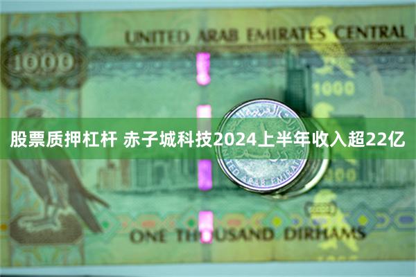 股票质押杠杆 赤子城科技2024上半年收入超22亿