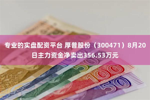 专业的实盘配资平台 厚普股份（300471）8月20日主力资金净卖出356.53万元