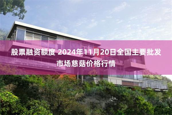 股票融资额度 2024年11月20日全国主要批发市场慈菇价格行情