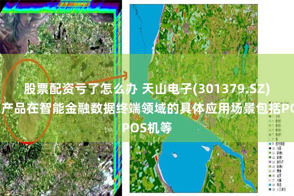 股票配资亏了怎么办 天山电子(301379.SZ)：公司产品在智能金融数据终端领域的具体应用场景包括POS机等