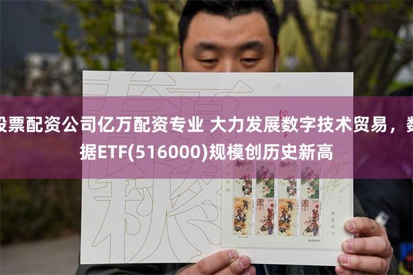 股票配资公司亿万配资专业 大力发展数字技术贸易，数据ETF(516000)规模创历史新高