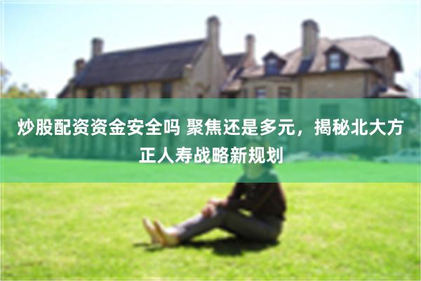 炒股配资资金安全吗 聚焦还是多元，揭秘北大方正人寿战略新规划