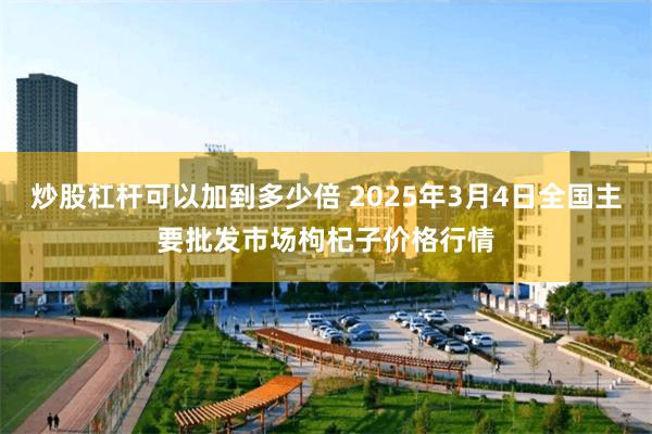 炒股杠杆可以加到多少倍 2025年3月4日全国主要批发市场枸杞子价格行情