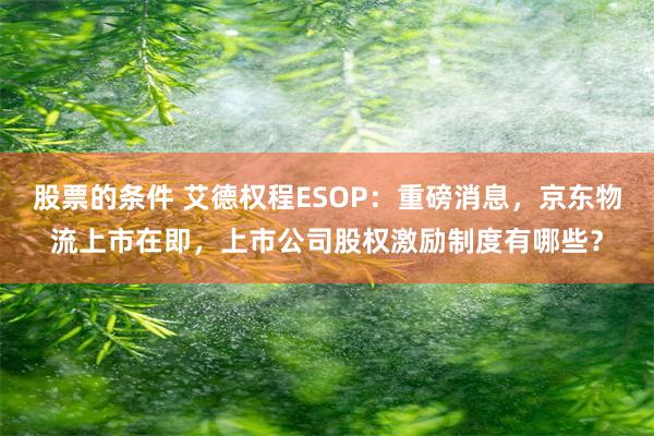 股票的条件 艾德权程ESOP：重磅消息，京东物流上市在即，上市公司股权激励制度有哪些？